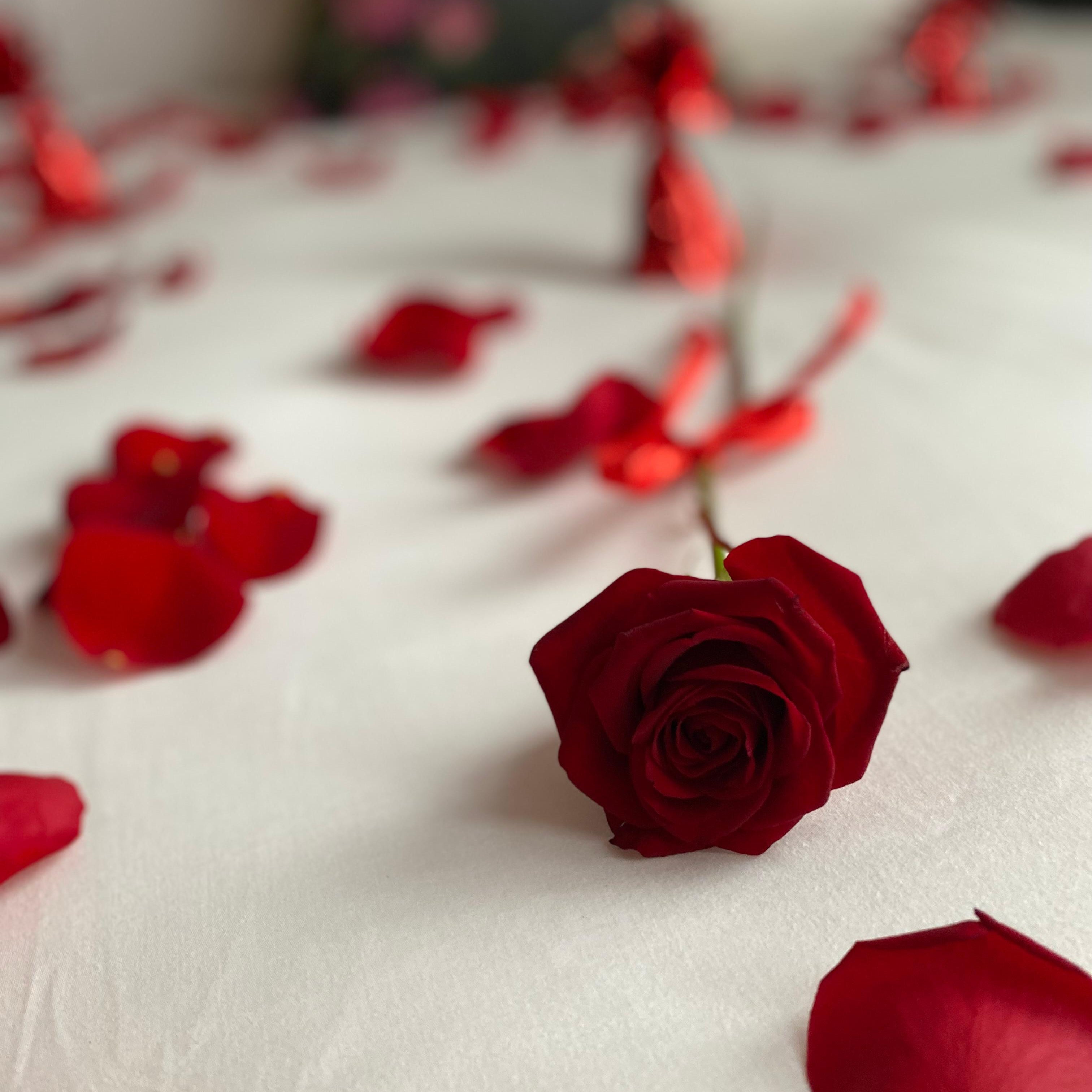 Single Stems & Petals