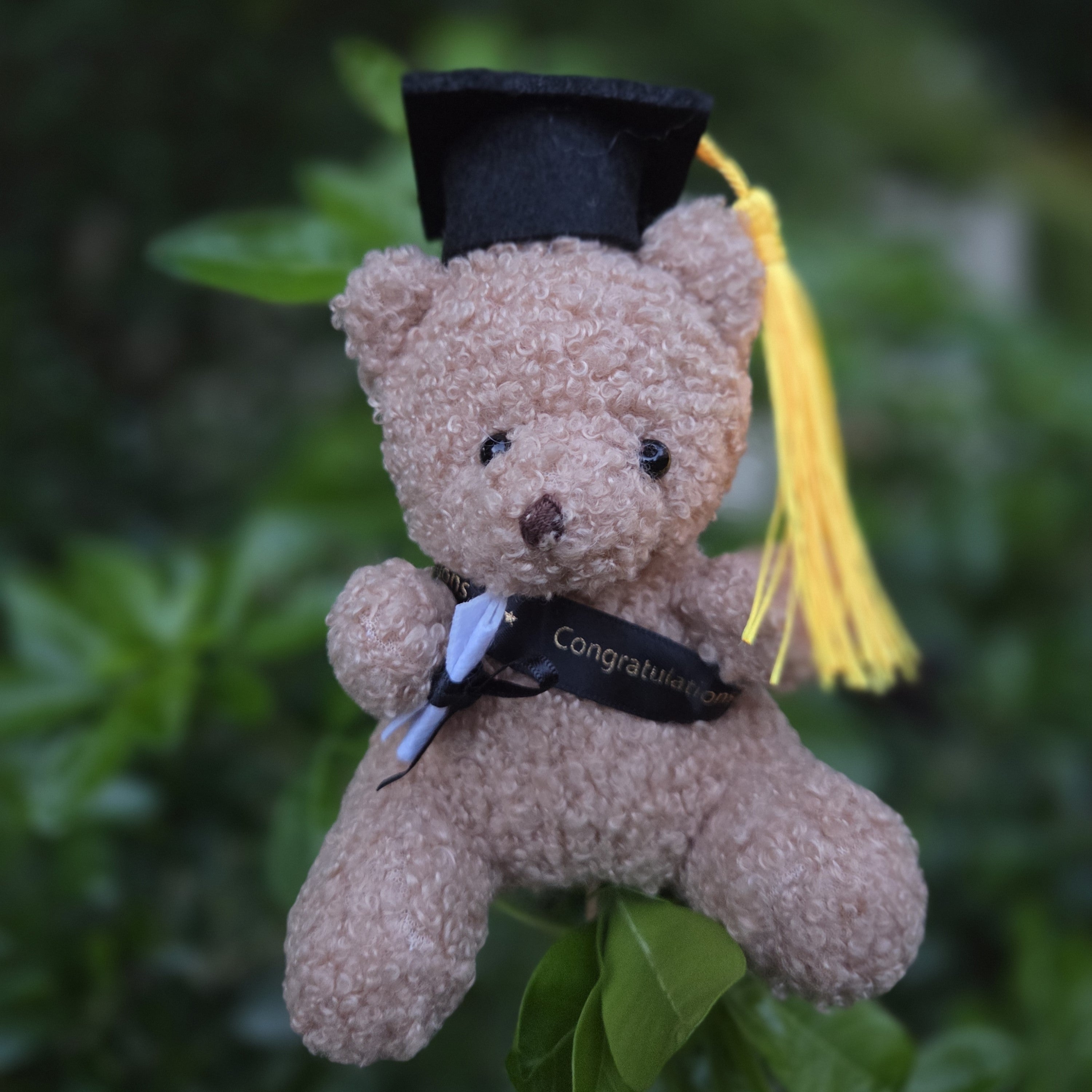 Graduation Plush Teddy Bear