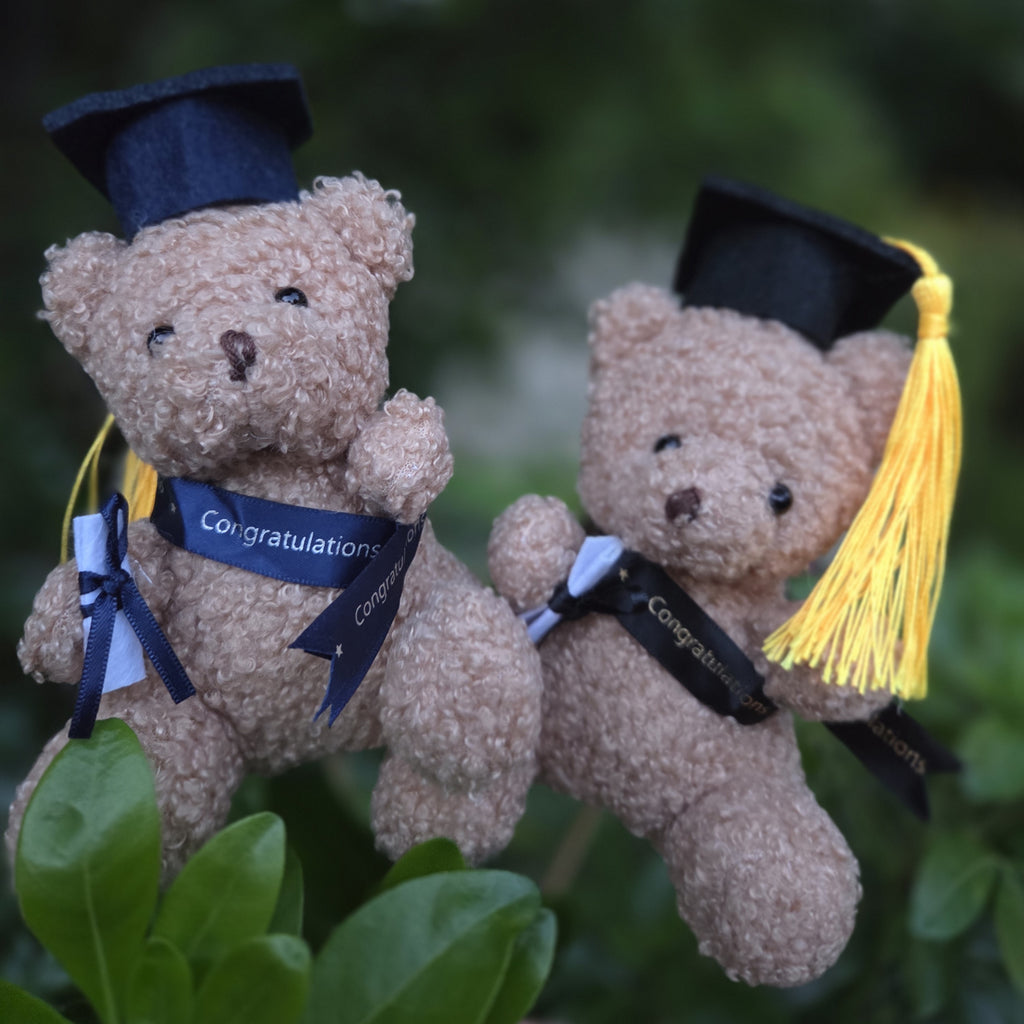 Graduation Plush Teddy Bear