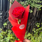 Single Rose