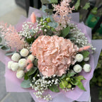 Sweet Arrival