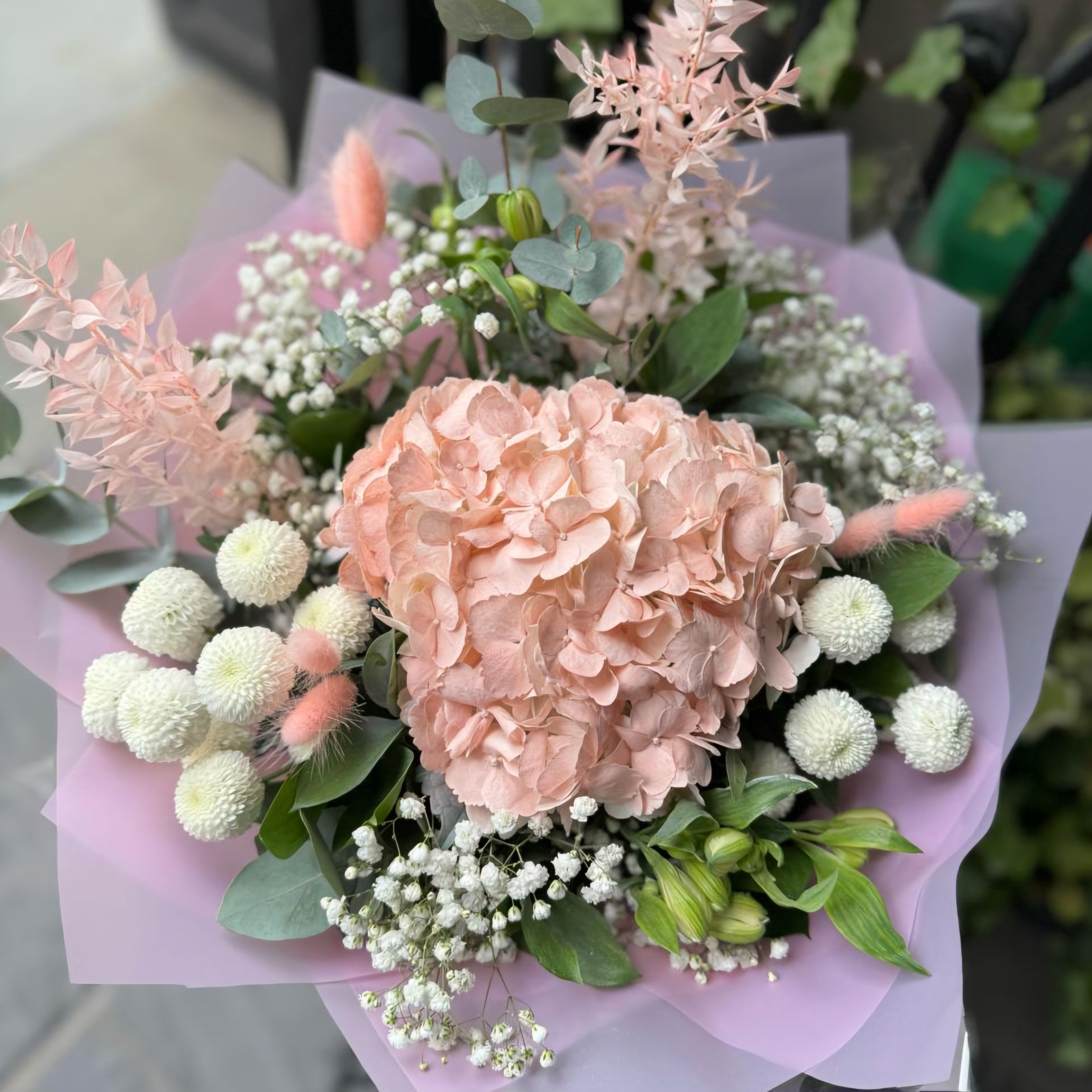 Sweet Arrival
