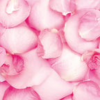 Rose Petals