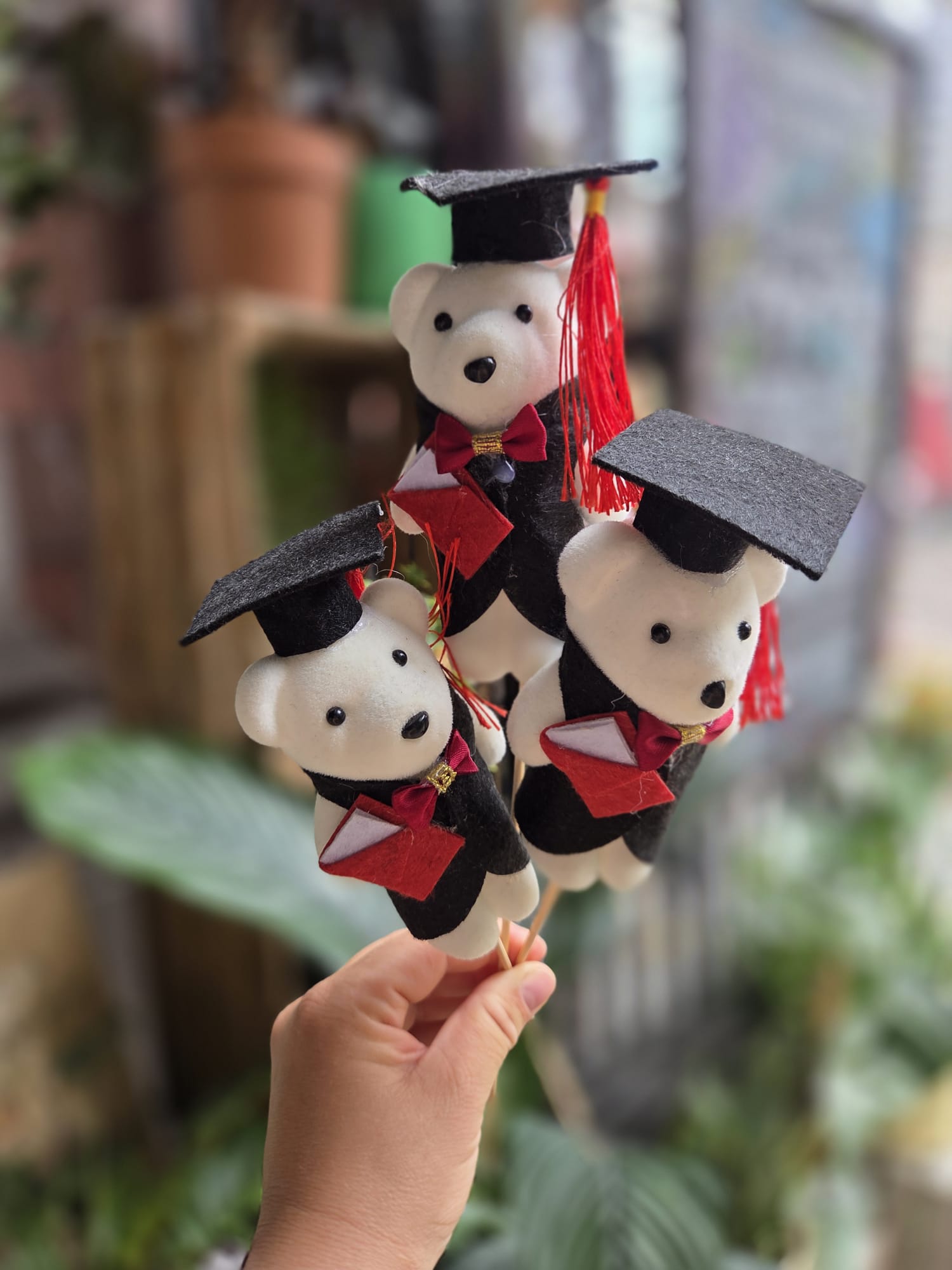 Graduation Mini Bear