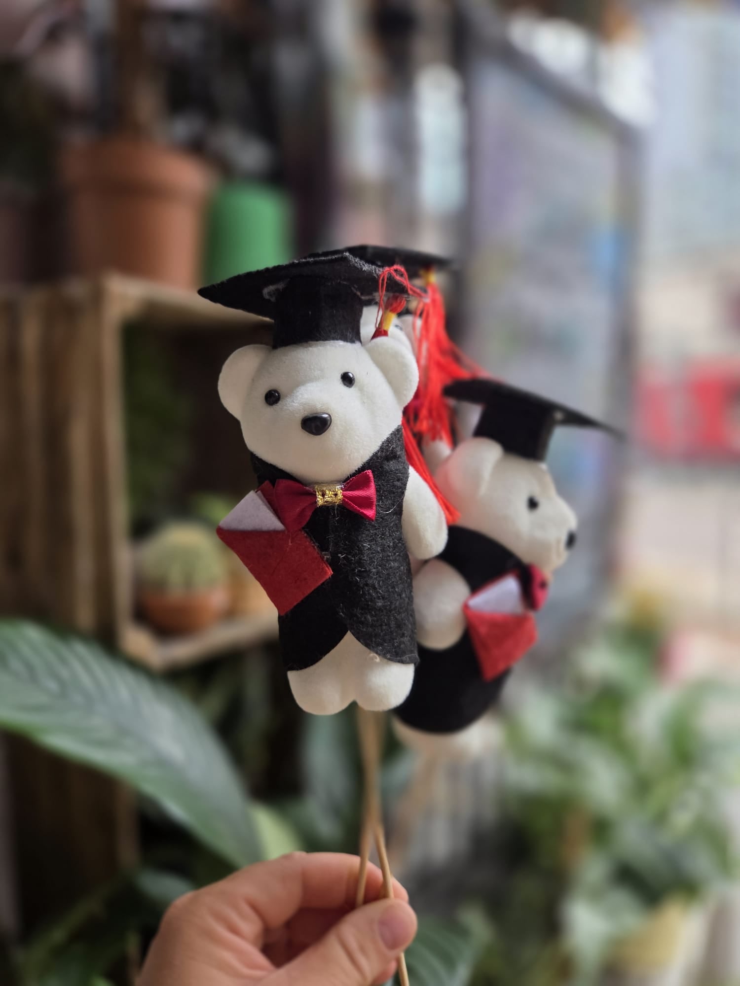 Graduation Mini Bear